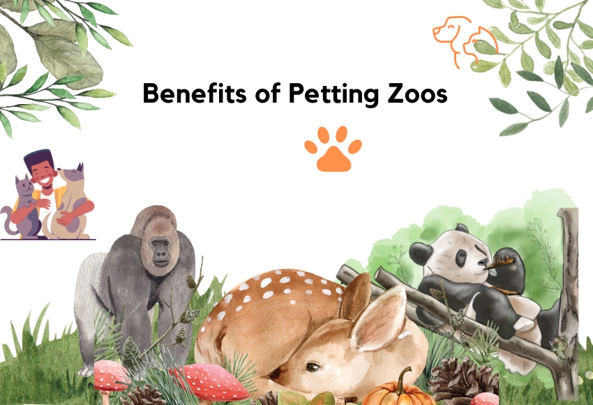 traveling animal shows and petting zoos