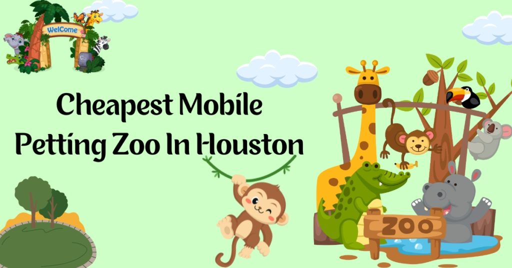 Cheapest Mobile Petting Zoo In Houston