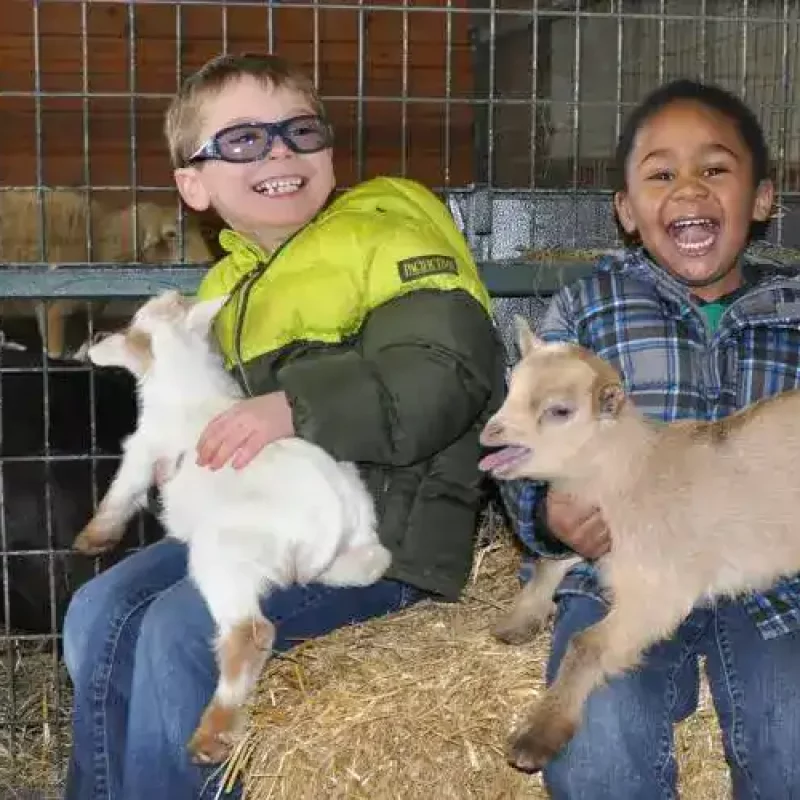 green meadows petting farm toddler parties in frederick county md-Houston-travelling-Zoo